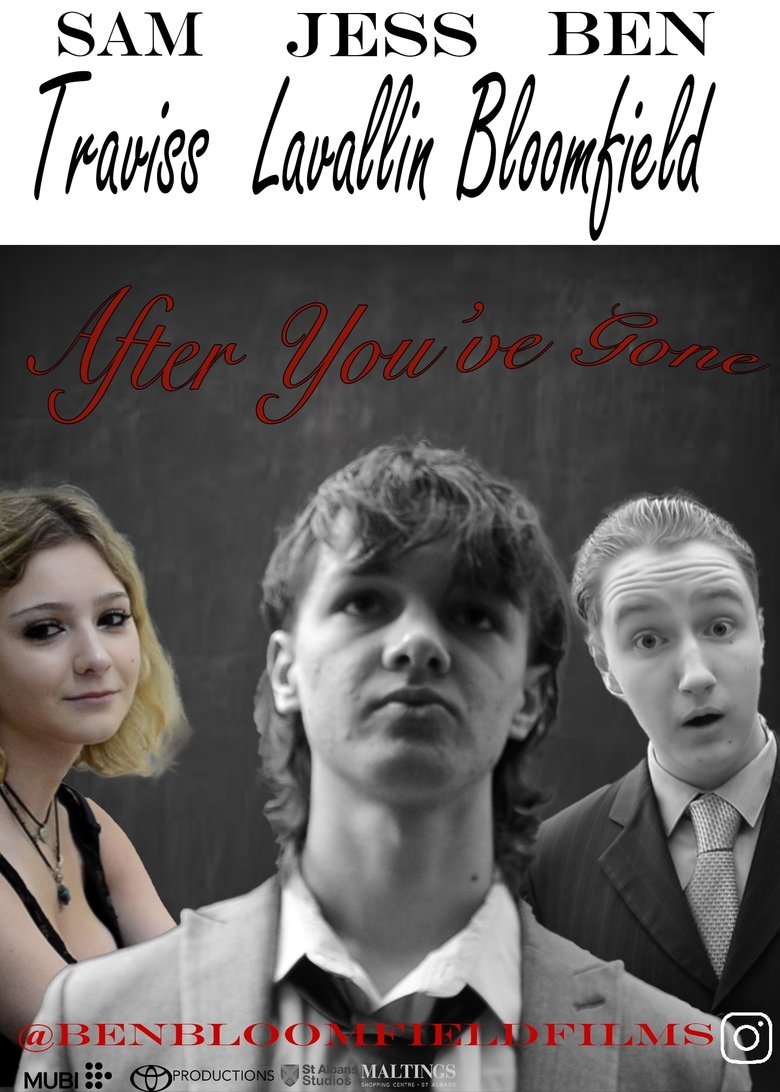 Poster of After You've Gone