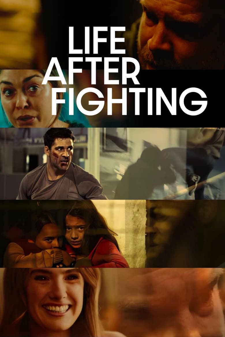 Poster of Life After Fighting