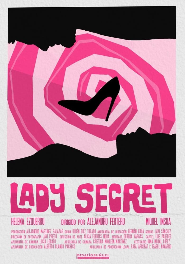 Poster of Lady Secret