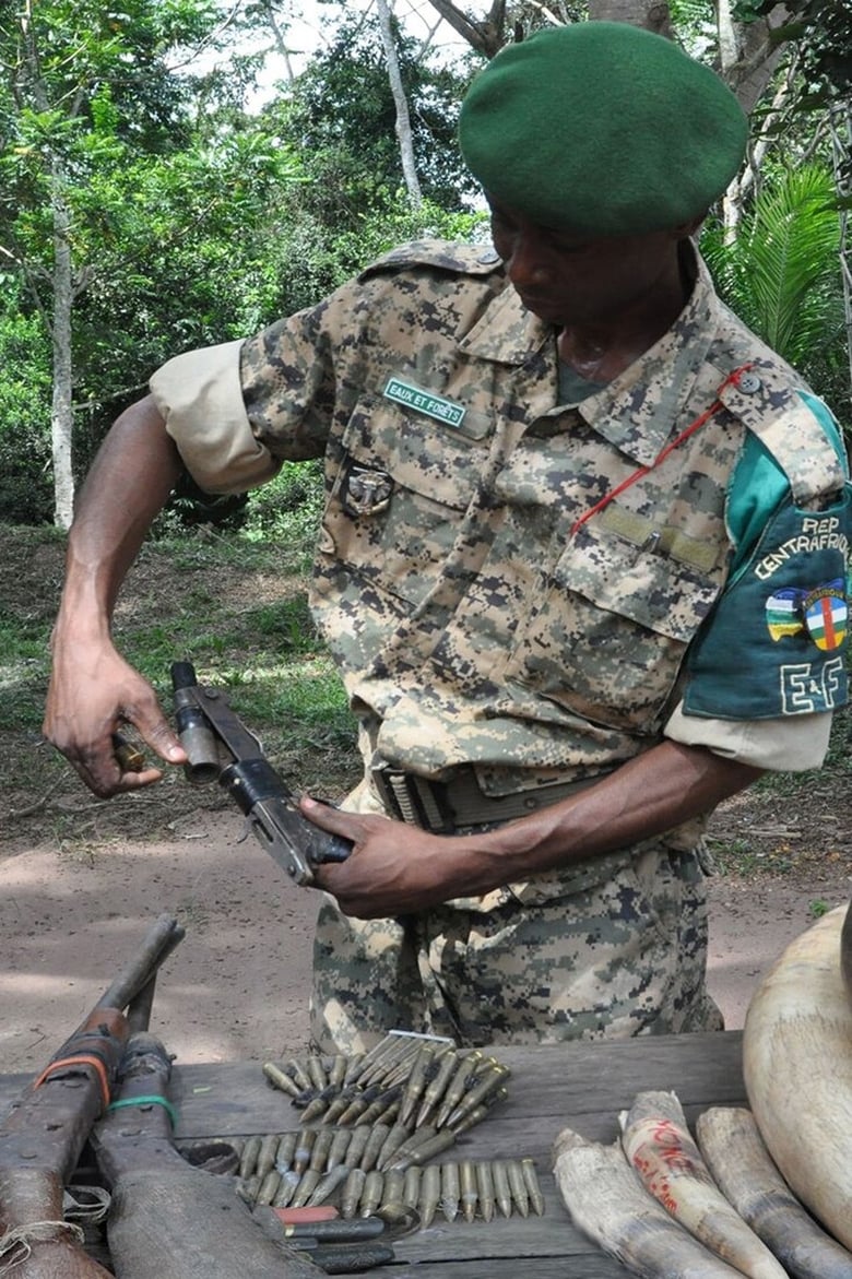 Poster of Elephant Path – Njaia Njoku