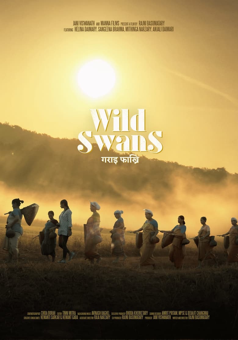 Poster of Wild Swans