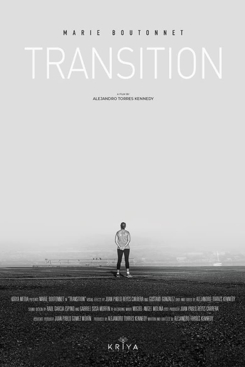 Poster of Transition