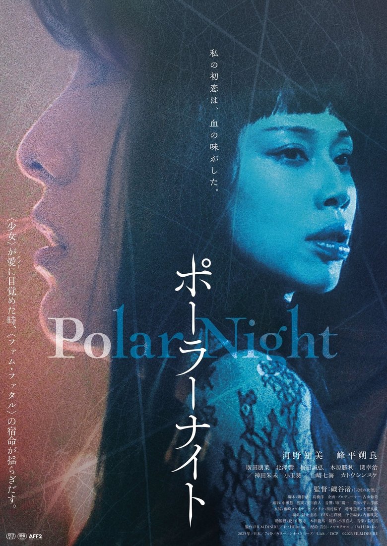 Poster of Polar Night