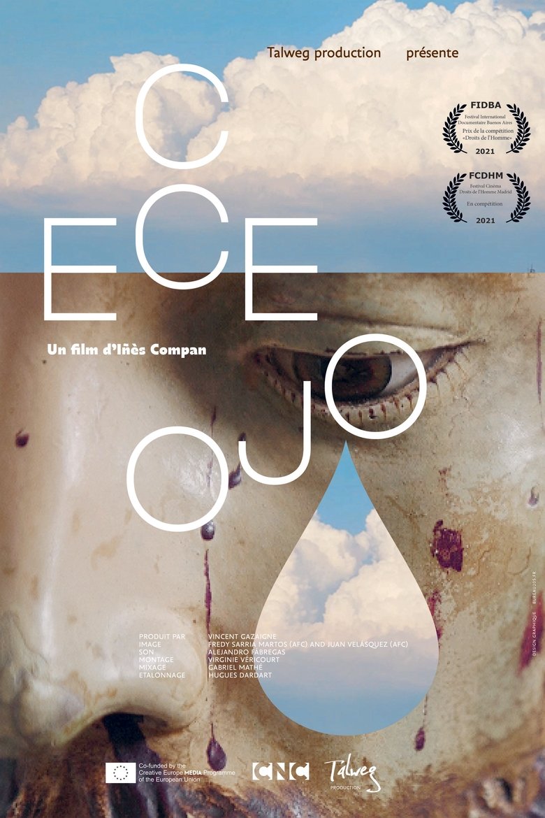 Poster of Colombie : les visages de la reconstruction