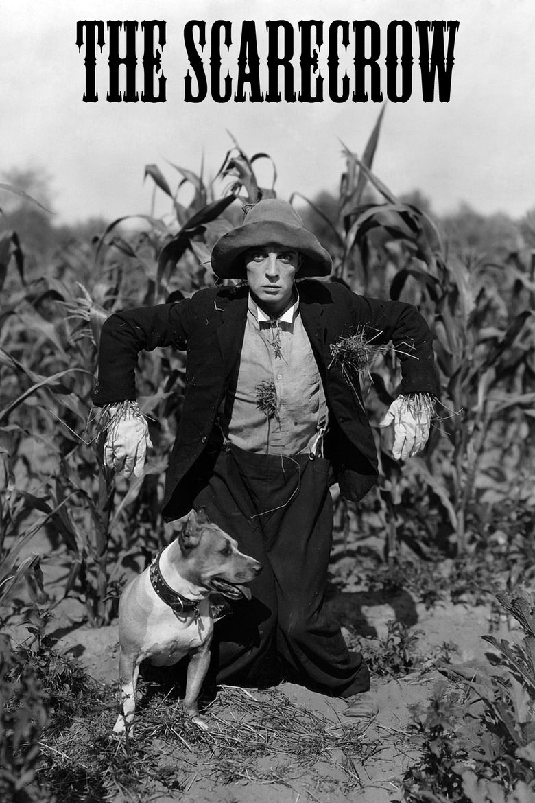 Poster of The Scarecrow