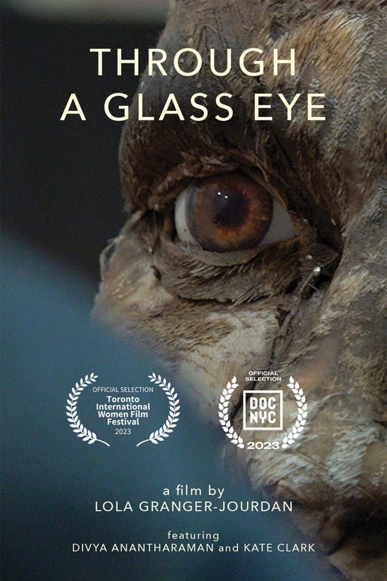 Poster of Through a Glass Eye