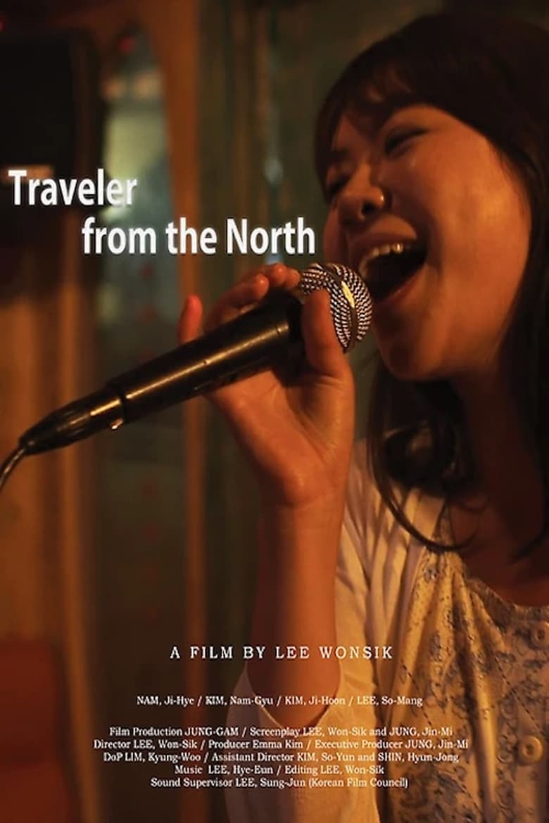 Poster of Traveler from the North