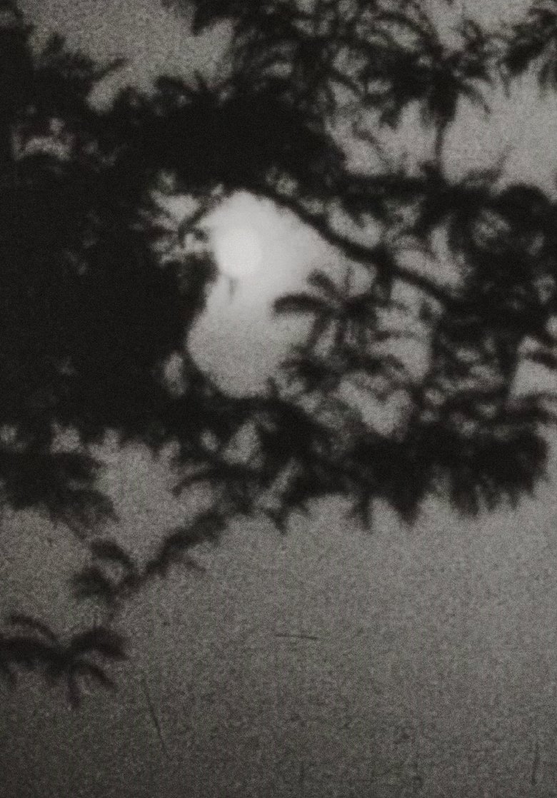 Poster of Moonplay