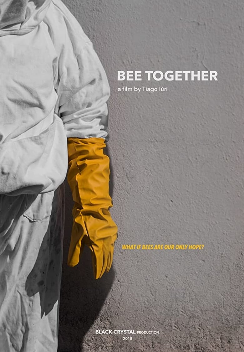 Poster of Bee Together