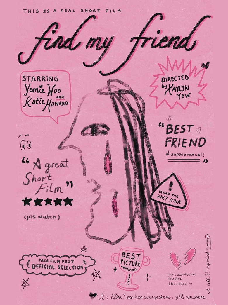 Poster of find my friend