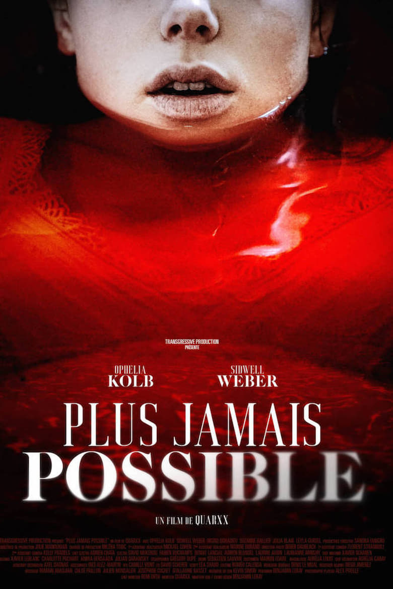 Poster of Plus jamais possible