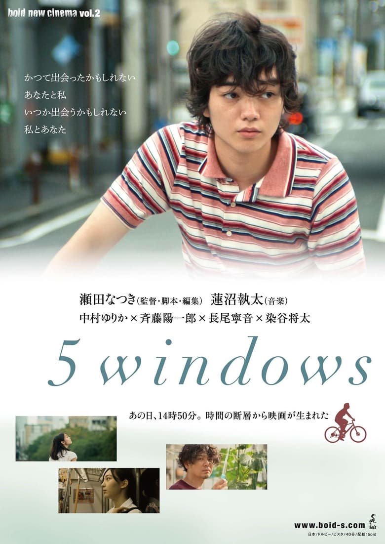 Poster of 5windows