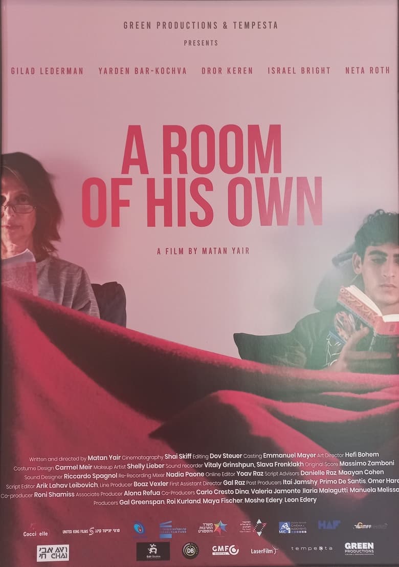 Poster of A Room of His Own