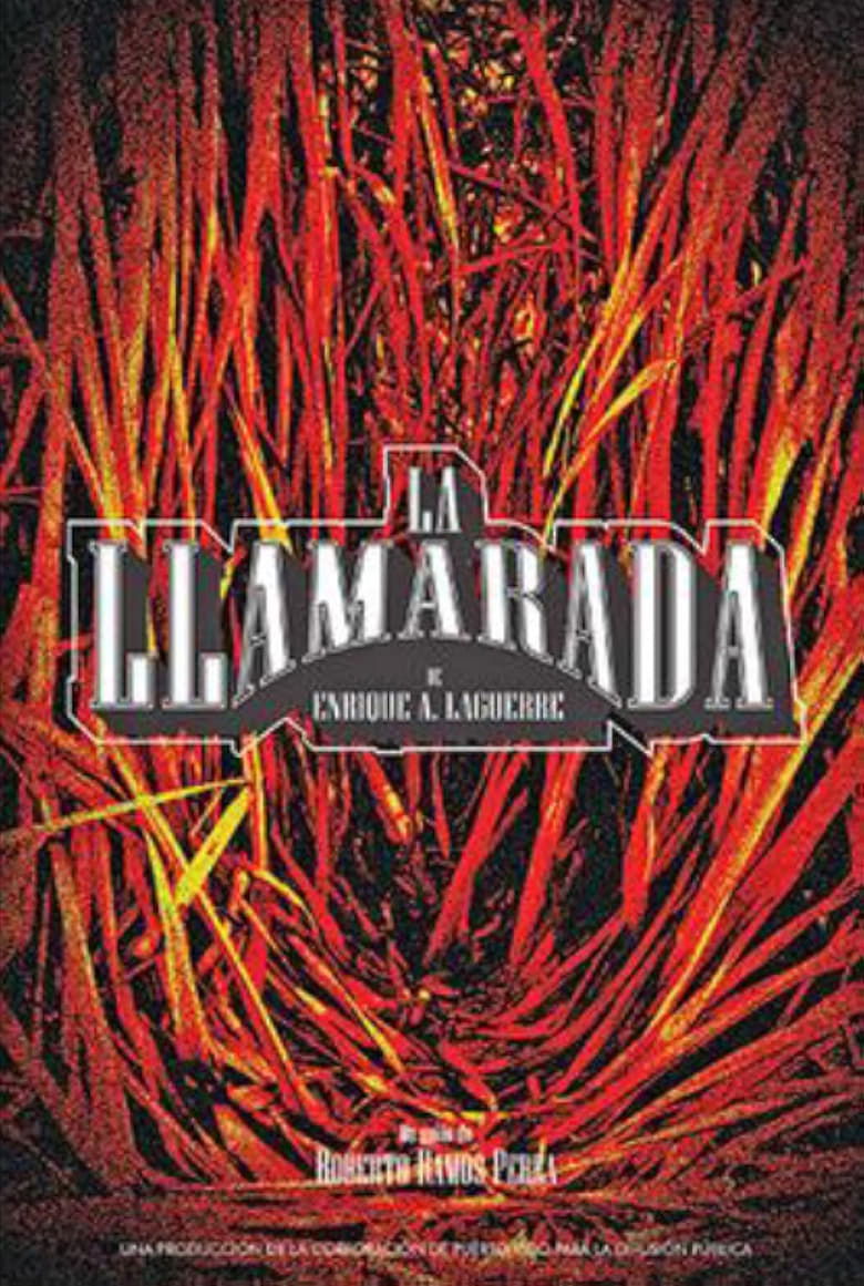 Poster of La llamarada