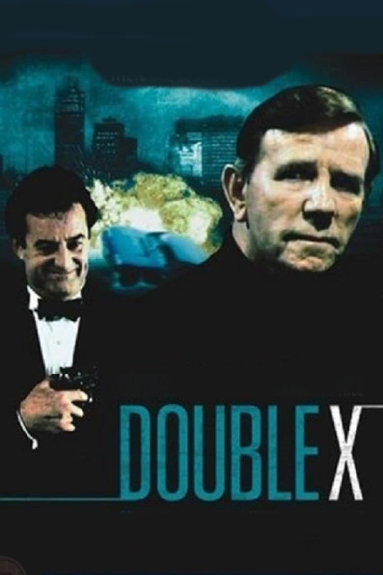 Poster of Double X: The Name of the Game