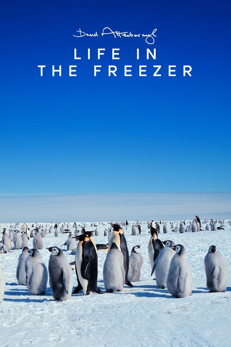 Poster of Life in the Freezer