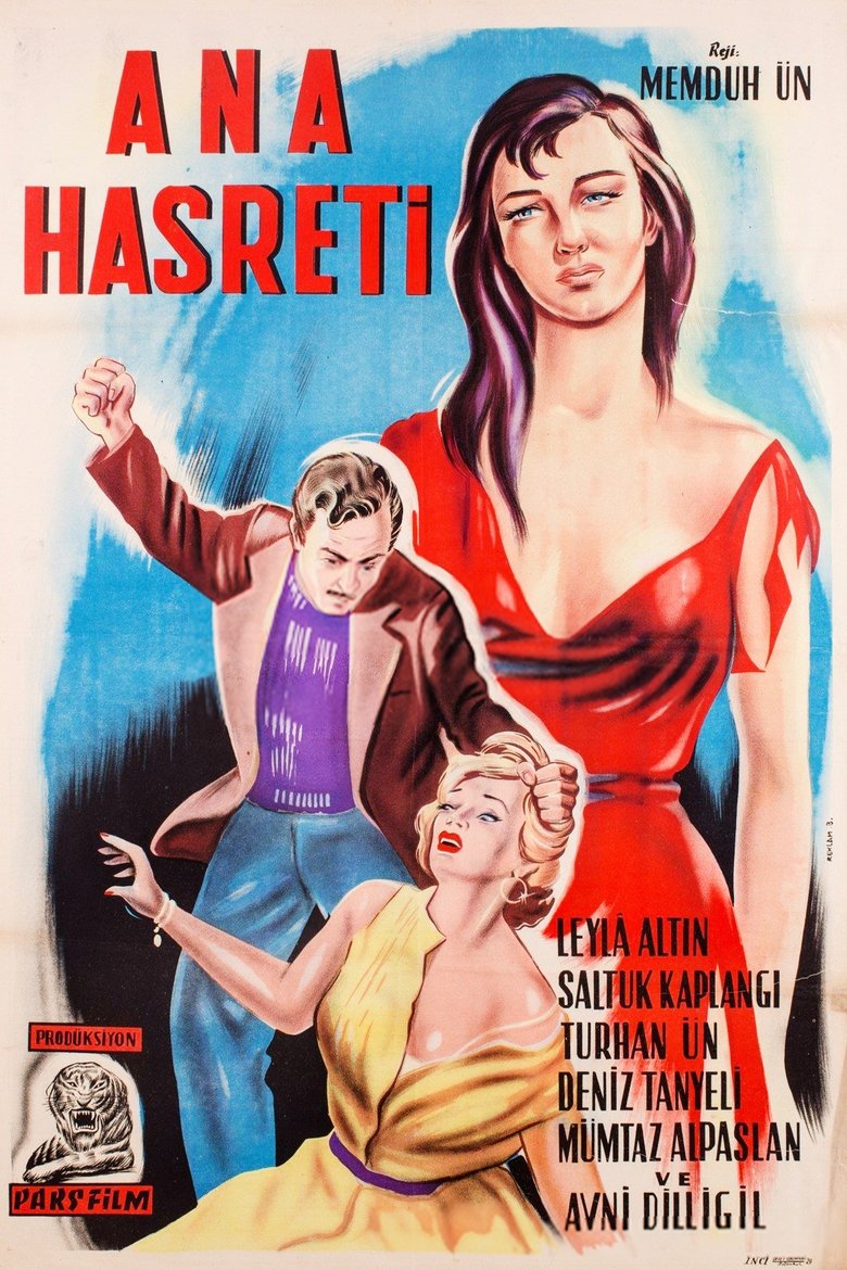 Poster of Ana Hasreti