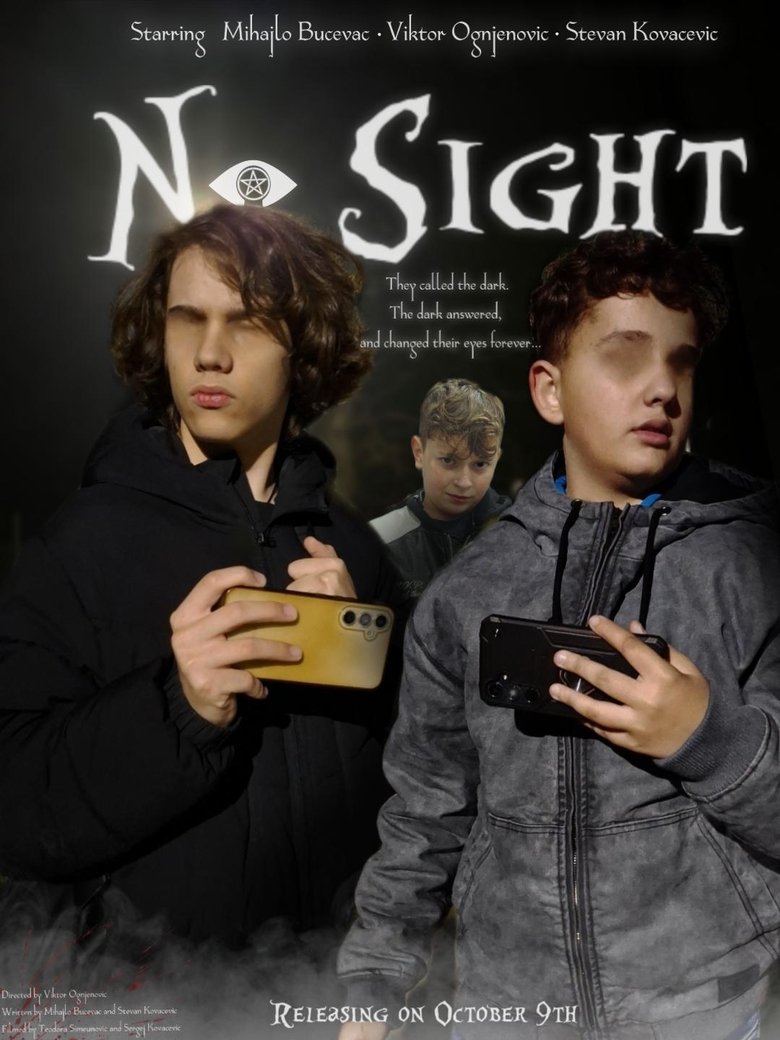 Poster of No Sight