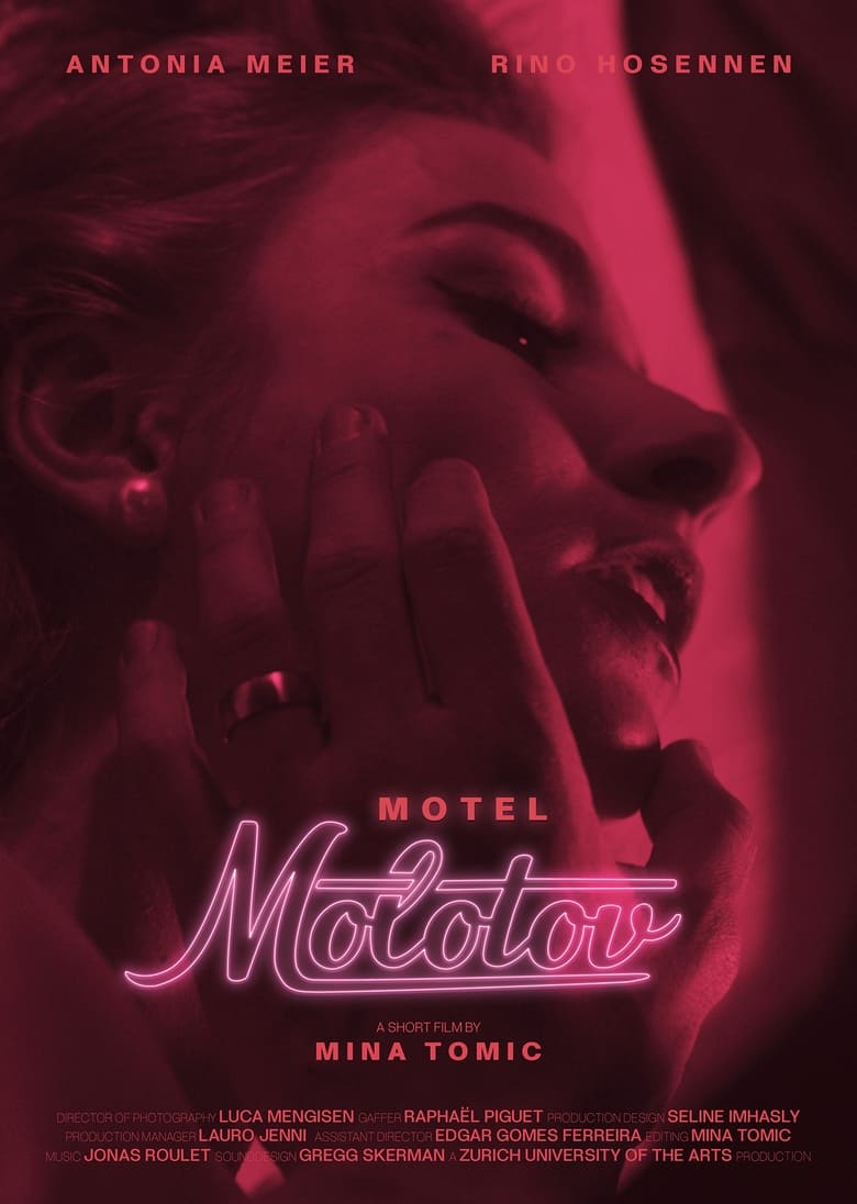 Poster of Motel Molotov