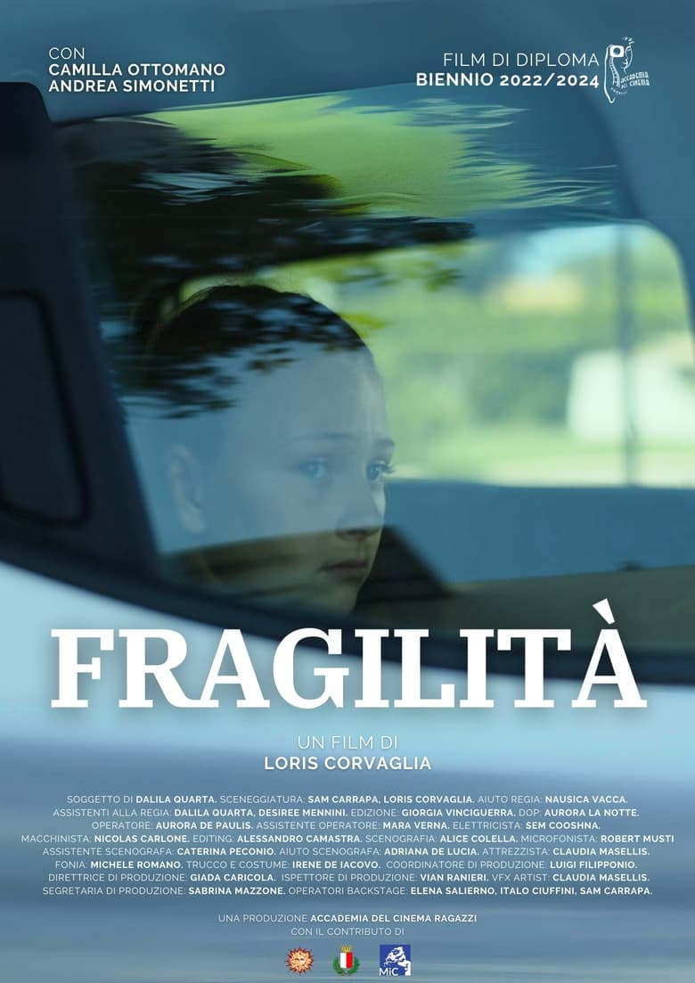 Poster of Fragilità