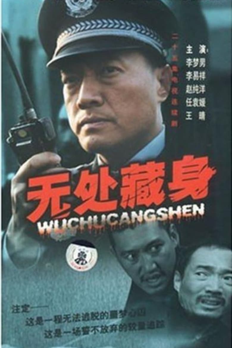 Poster of 无处藏身