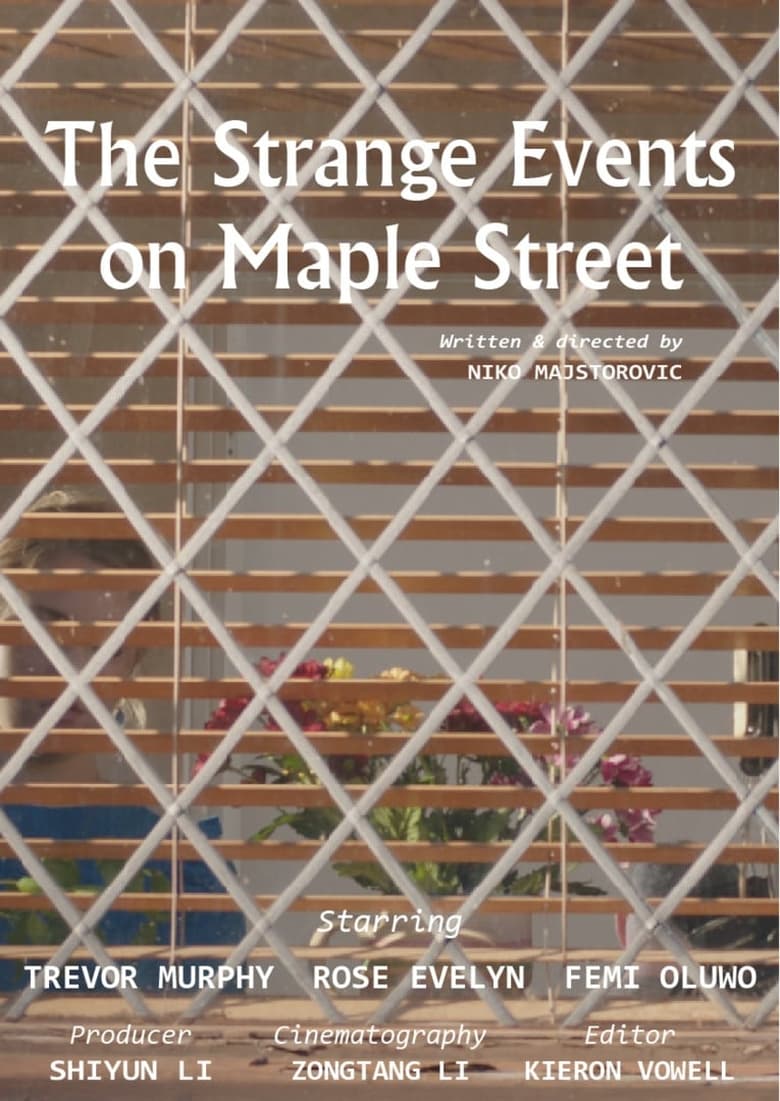 Poster of The Strange Events on Maple Street