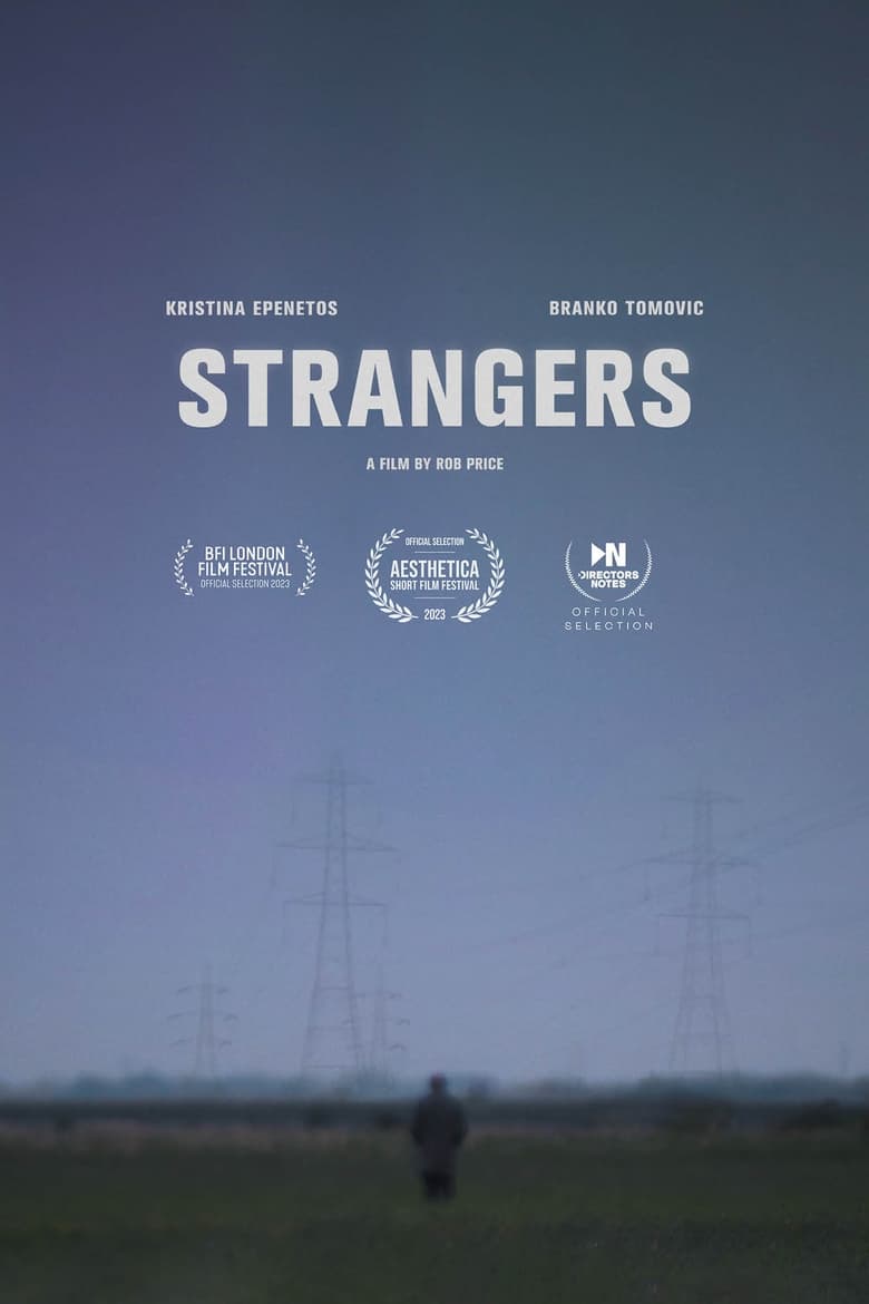 Poster of Strangers