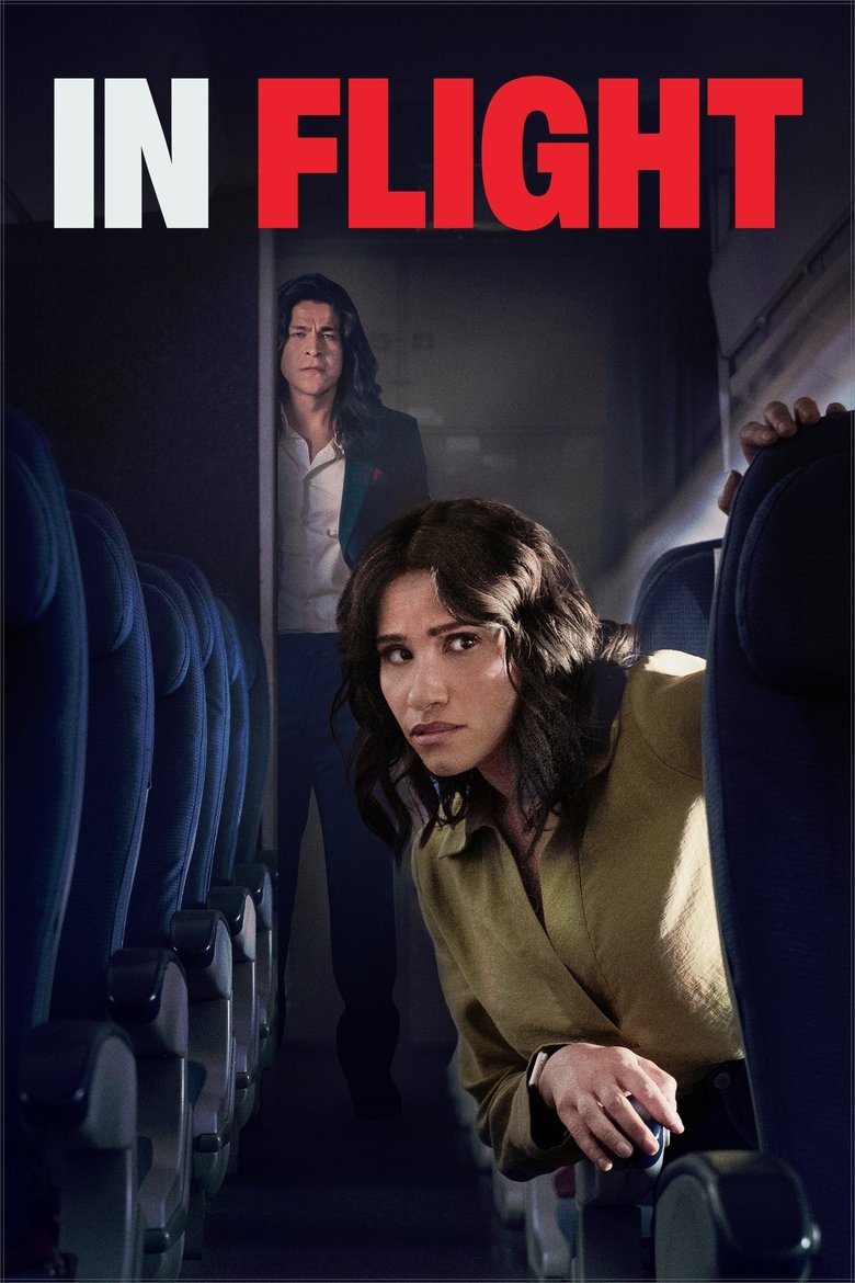 Poster of In Flight