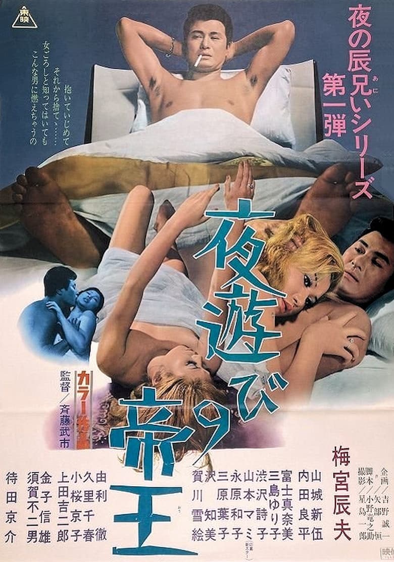 Poster of King of the Night Life