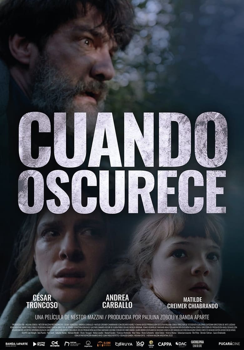 Poster of Cuando oscurece