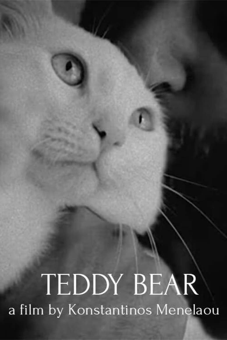 Poster of Teddy Bear