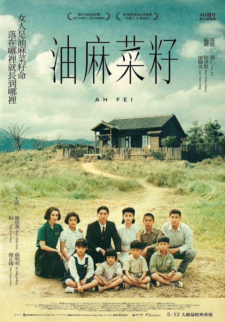 Poster of Ah Fei