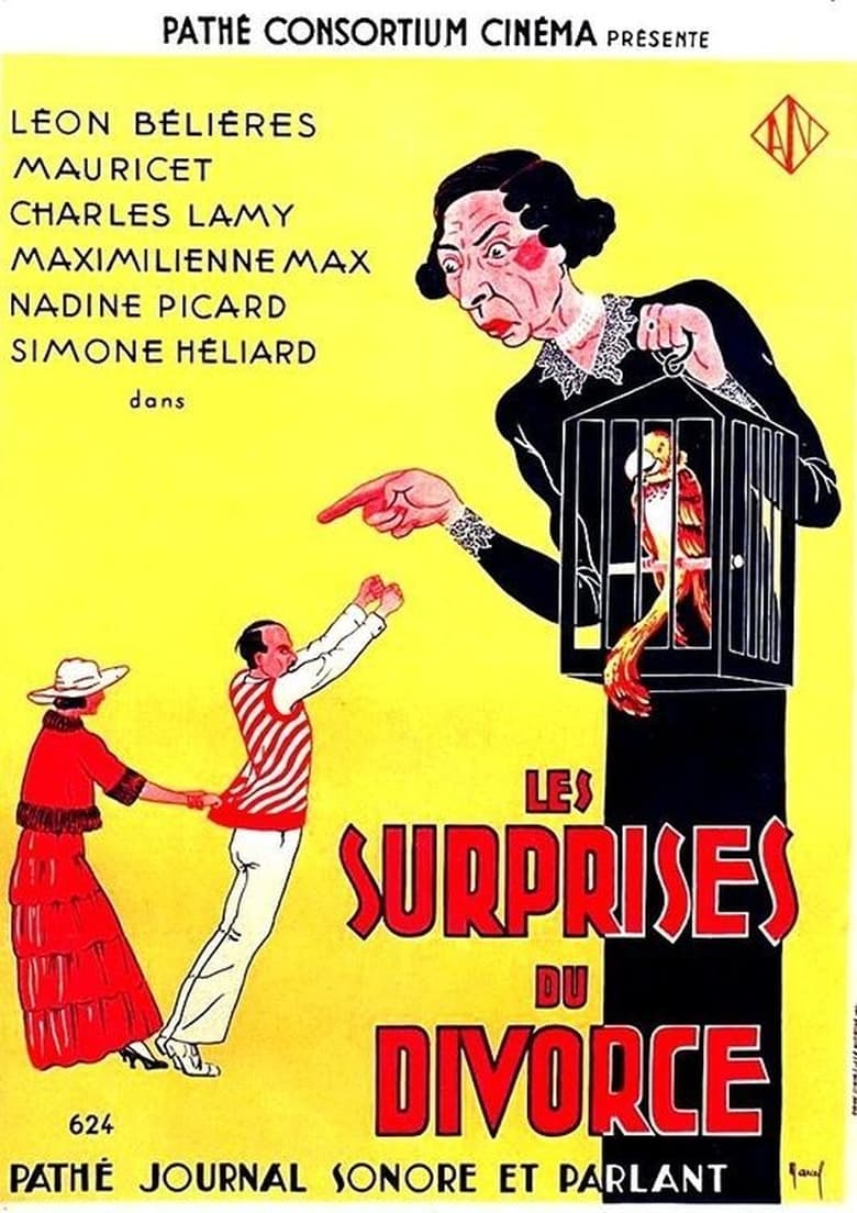 Poster of Les surprises du divorce