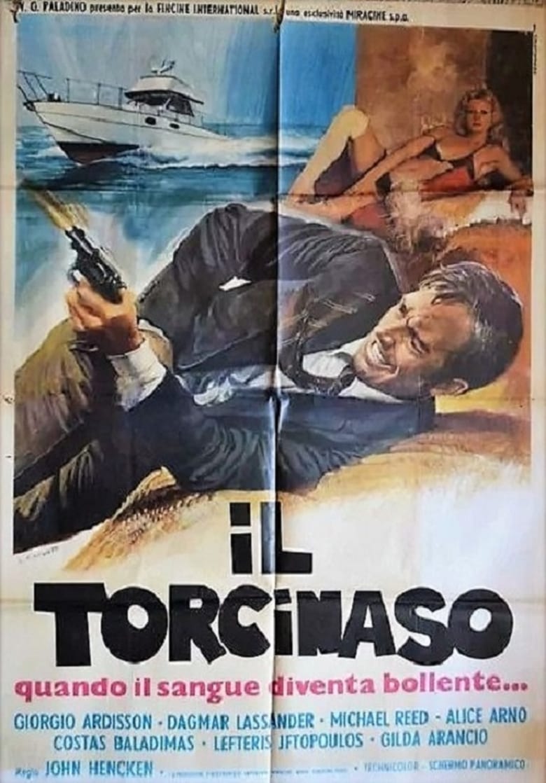 Poster of Il torcinaso