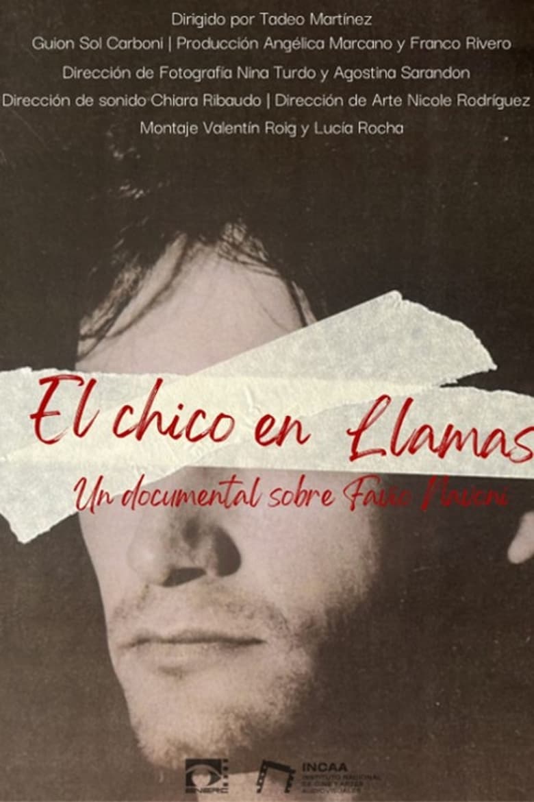 Poster of El chico en llamas