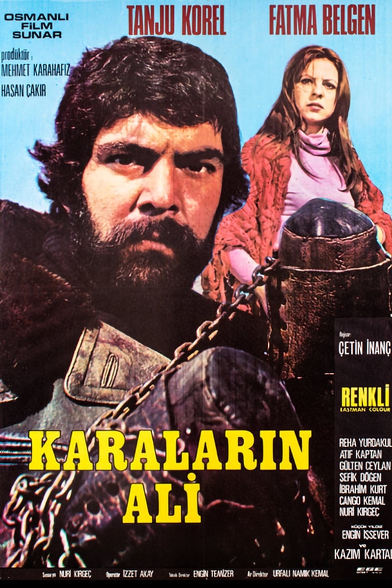 Poster of Karaların Ali