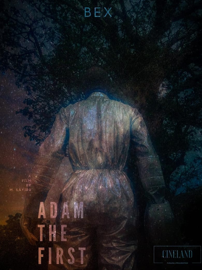 Poster of Adam the First