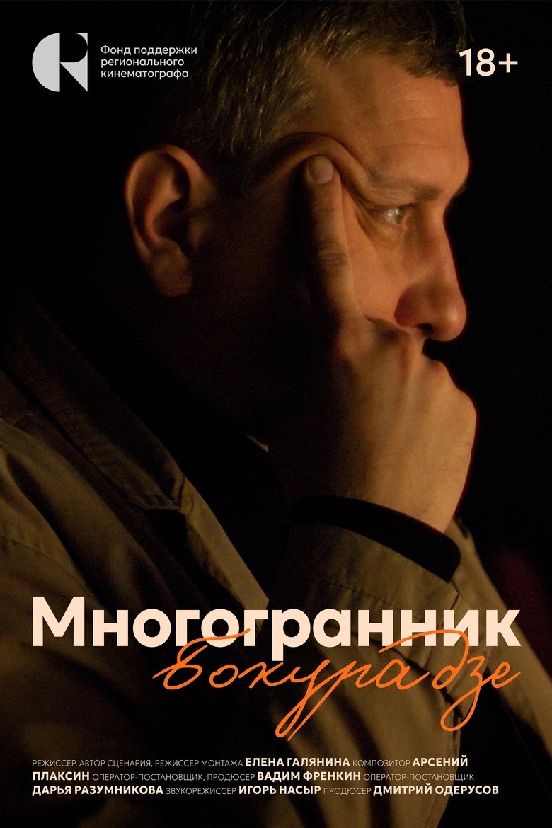 Poster of Многогранник Бокурадзе