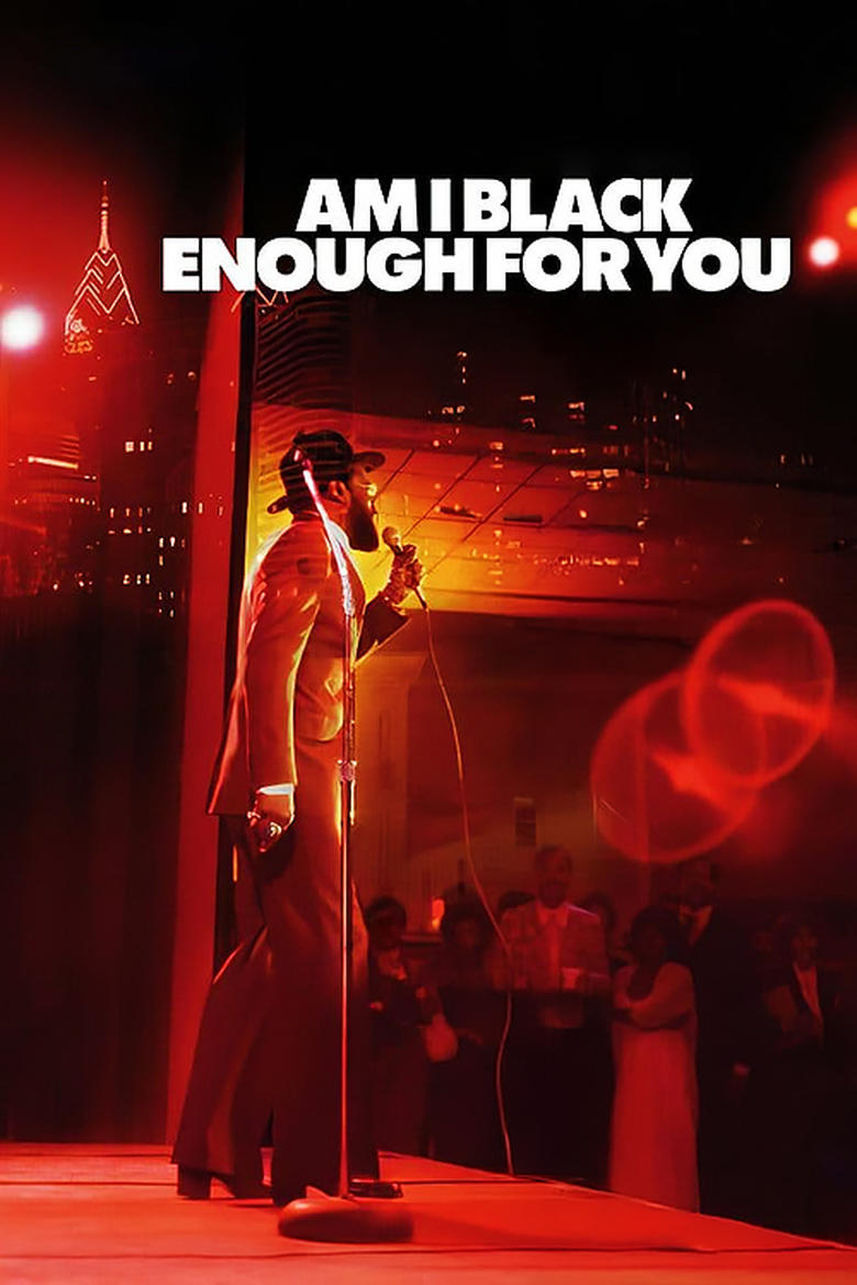 Poster of Am I Black Enough for You