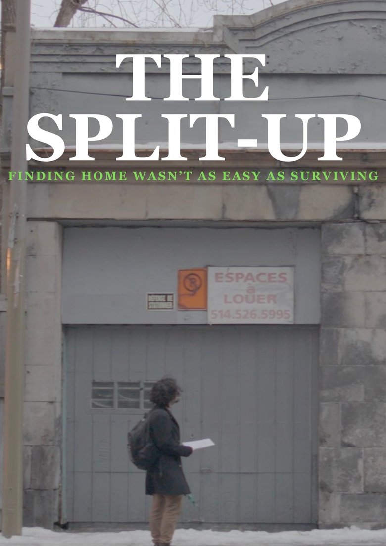 Poster of The Split-Up