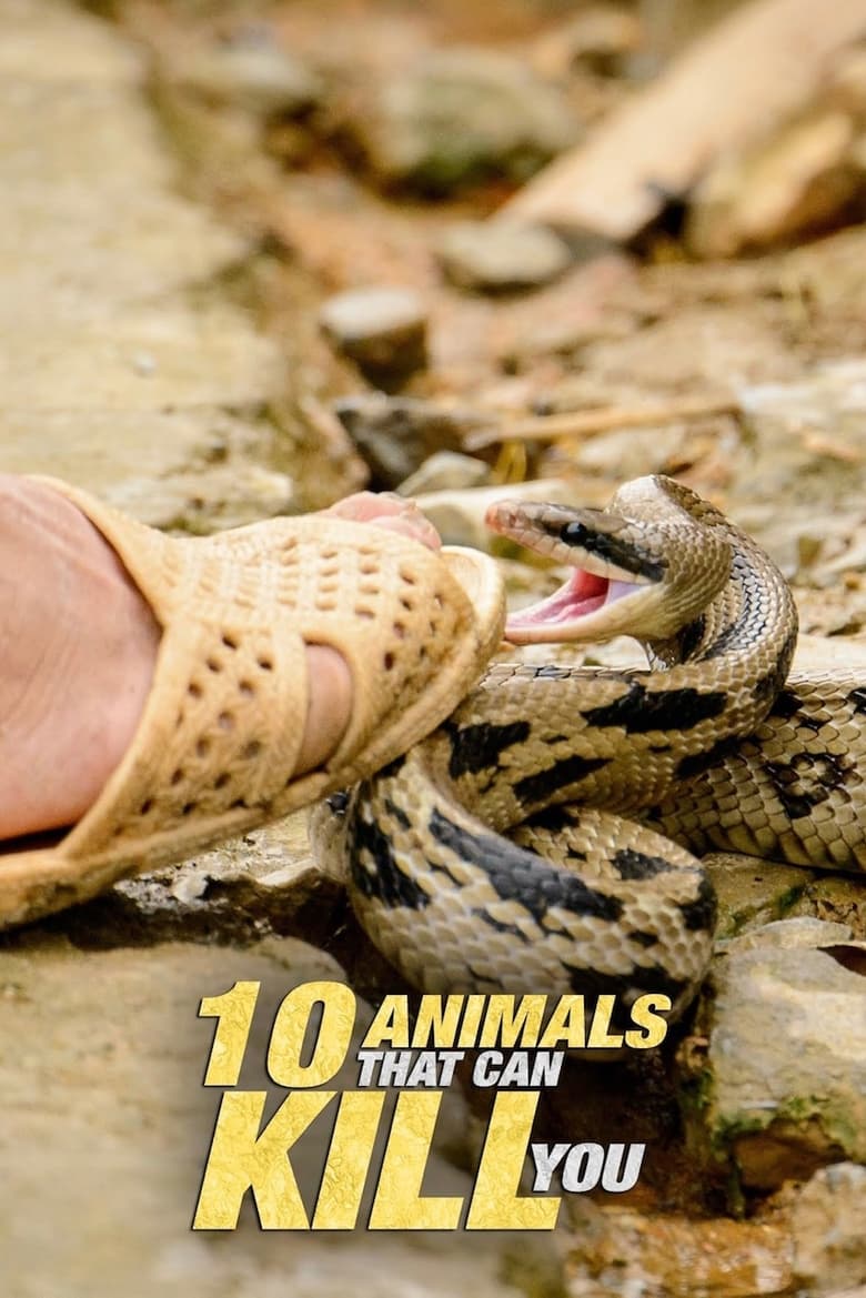 Poster of 10 Animals That Will Kill You