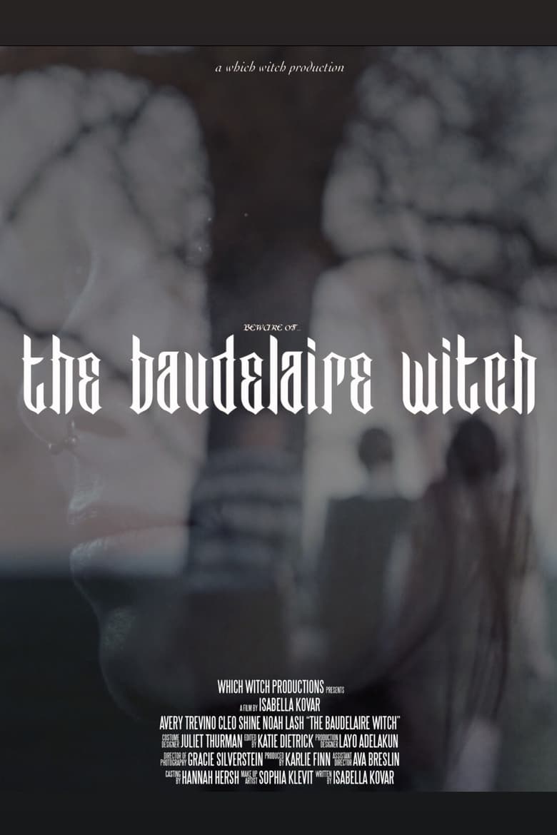 Poster of The Baudelaire Witch