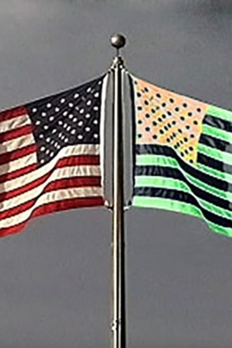 Poster of Flag and Its Shadow