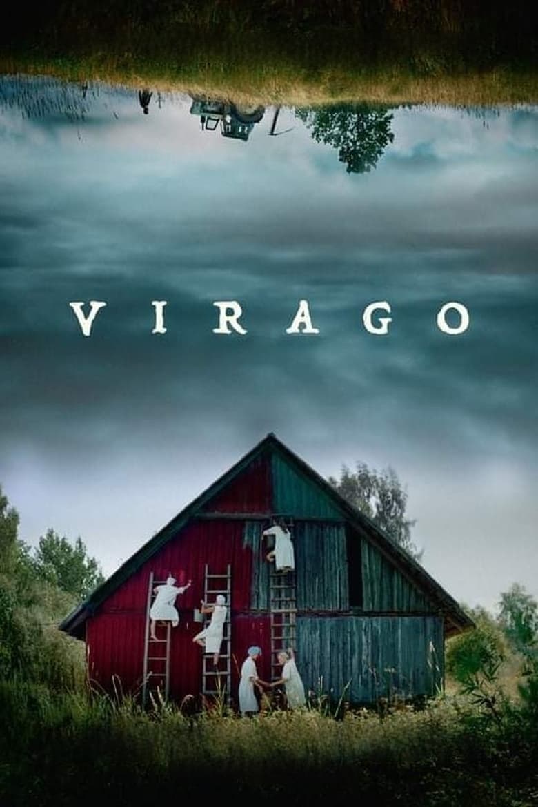 Poster of Virago