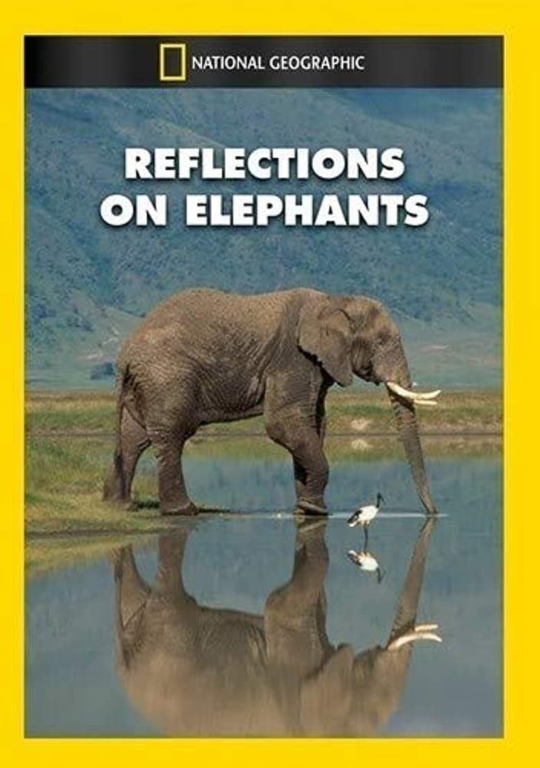 Poster of Reflections on Elephants