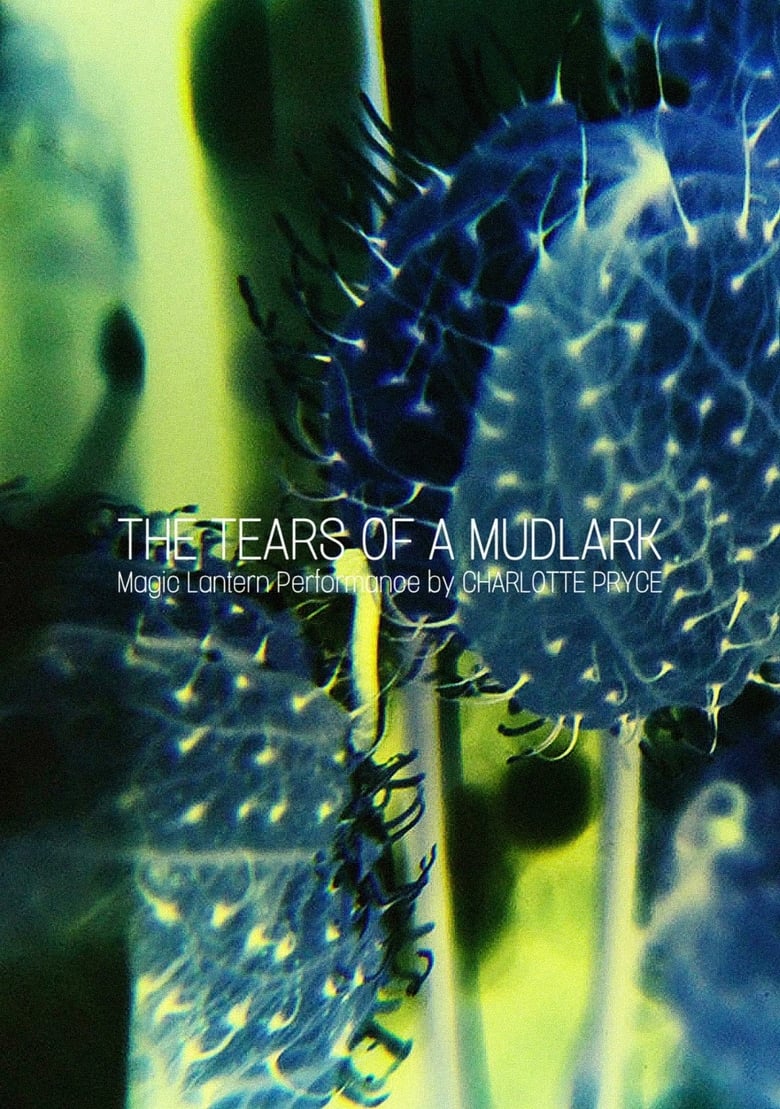 Poster of The Tears of a Mudlark