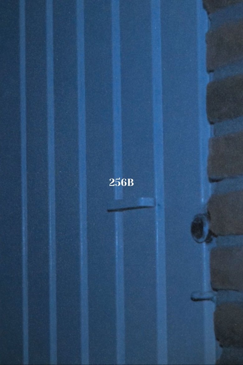 Poster of 256B