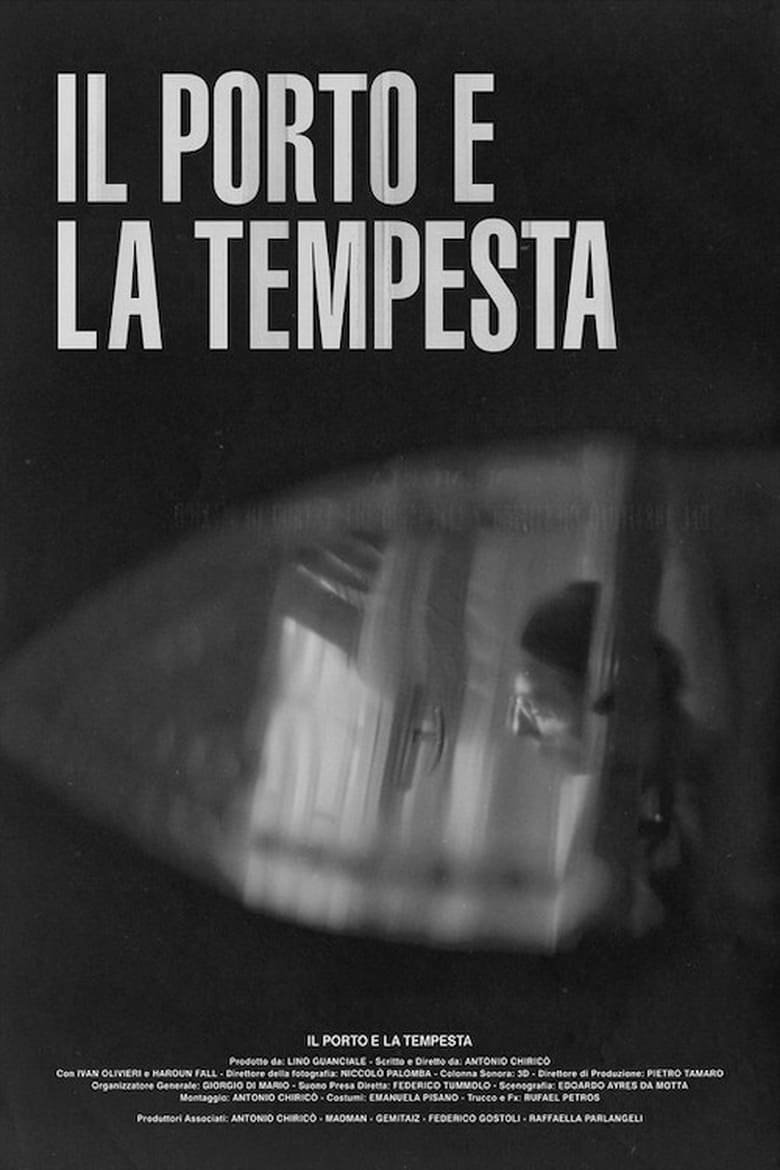 Poster of Il porto e la tempesta