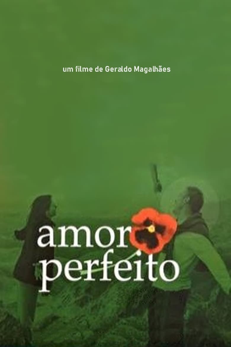 Poster of Amor Perfeito