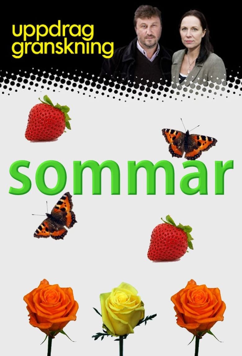 Poster of Uppdrag granskning sommar